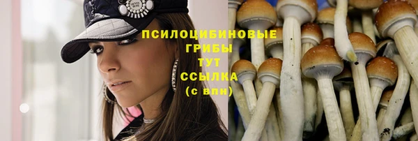 а пвп мука Верея