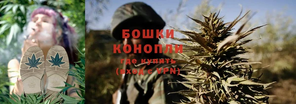 стаф Верхний Тагил